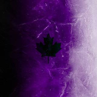 R6 Black Ice wallpaper