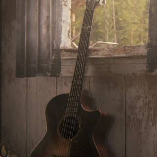 The Last Of Us guitar wallpaper