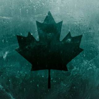 R6 Black Ice wallpaper