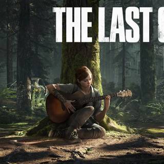 The Last Of Us guitar wallpaper