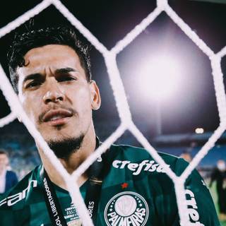 Gustavo Gómez wallpaper