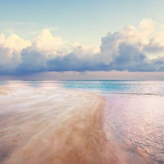 Pink sand beach wallpaper