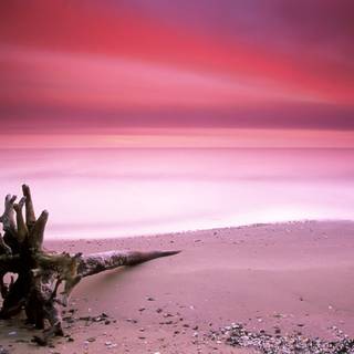 Pink sand beach wallpaper