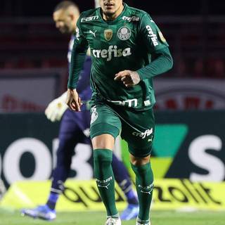 Gustavo Gómez wallpaper