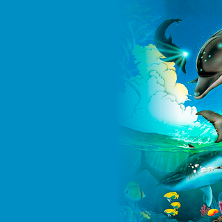 Ecco the Dolphin wallpaper