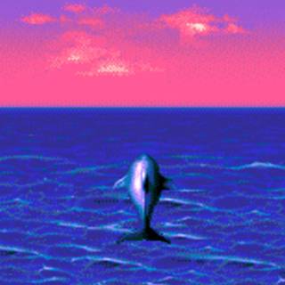 Ecco the Dolphin wallpaper