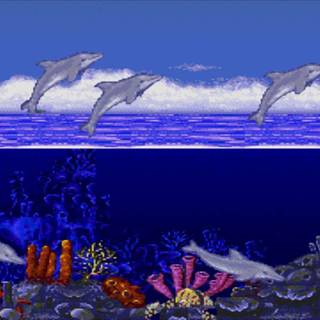 Ecco the Dolphin wallpaper
