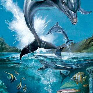 Ecco the Dolphin wallpaper