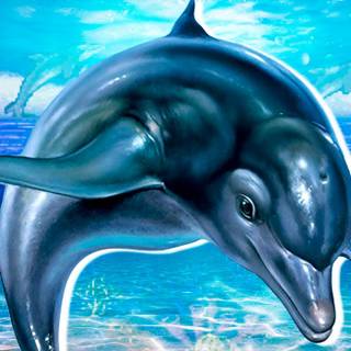 Ecco the Dolphin wallpaper