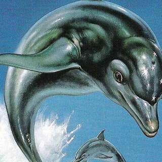 Ecco the Dolphin wallpaper