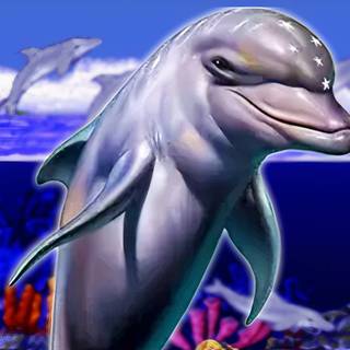 Ecco the Dolphin wallpaper