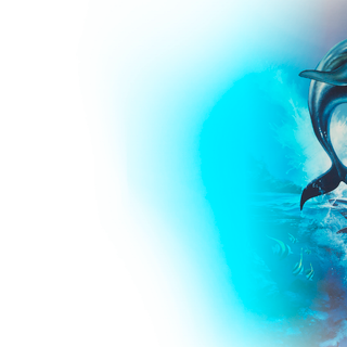 Ecco the Dolphin wallpaper