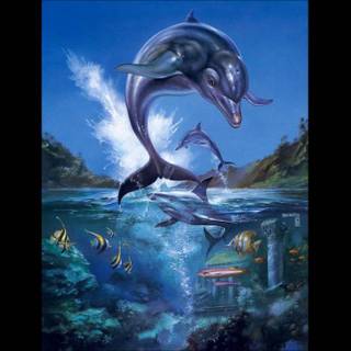 Ecco the Dolphin wallpaper