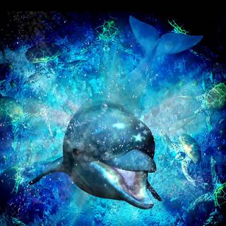 Ecco the Dolphin wallpaper