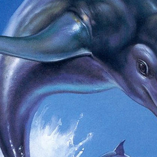 Ecco the Dolphin wallpaper