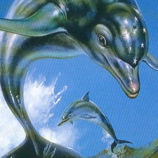 Ecco the Dolphin wallpaper