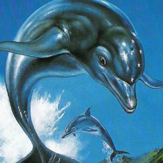 Ecco the Dolphin wallpaper