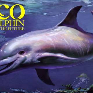 Ecco the Dolphin wallpaper