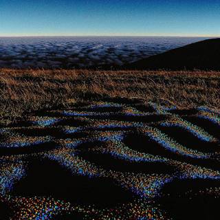 Mac Baconai wallpaper