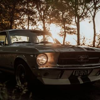 Ford Mustang 1960 wallpaper