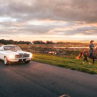 Ford Mustang 1960 wallpaper