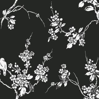 Black and white cherry blossom wallpaper
