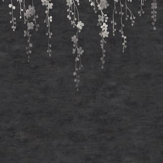 Black and white cherry blossom wallpaper
