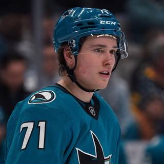 Macklin Celebrini wallpaper