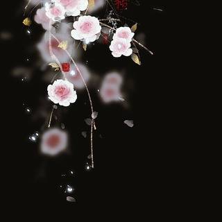 Black and white cherry blossom wallpaper