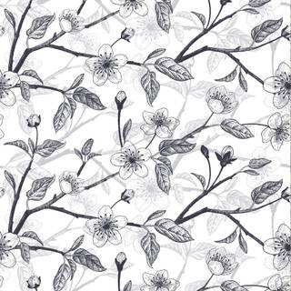 Black and white cherry blossom wallpaper