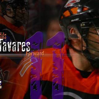 Buffalo Bandits wallpaper