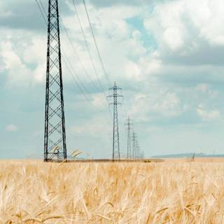 Electric field wallpaper