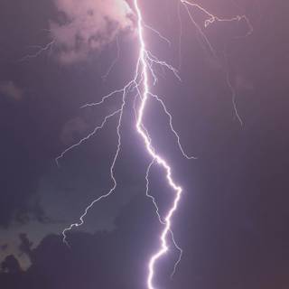 Electric field wallpaper