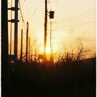 Electric field wallpaper