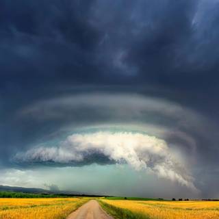 Electric field wallpaper