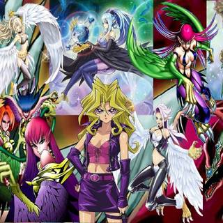 Harpie Lady wallpaper