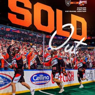 Buffalo Bandits wallpaper