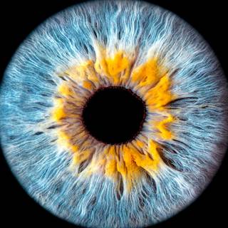 Eye iris wallpaper