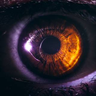 Eye iris wallpaper