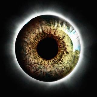 Eye iris wallpaper