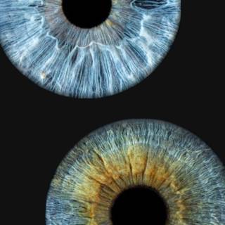Eye iris wallpaper