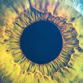 Eye iris wallpaper