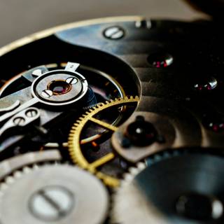 Automatic watch wallpaper