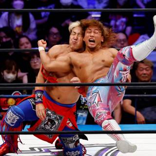 New Japan Pro-Wrestling wallpaper