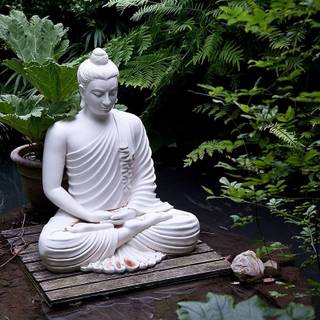 Buddha nature wallpaper