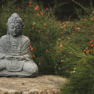 Buddha nature wallpaper