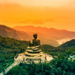 Buddha nature wallpaper