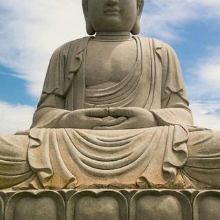 Buddha nature wallpaper