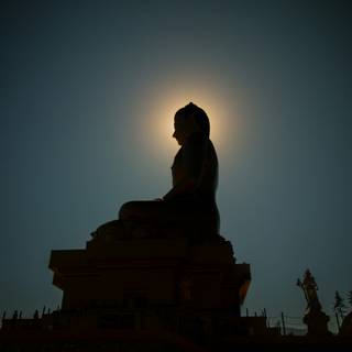 Buddha nature wallpaper