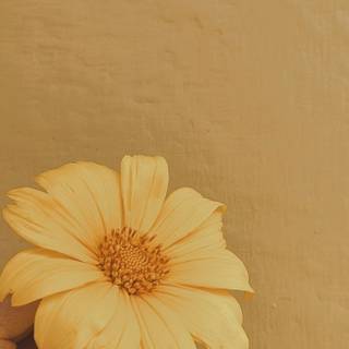 Warm yellow wallpaper